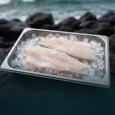 Corvina Filete
